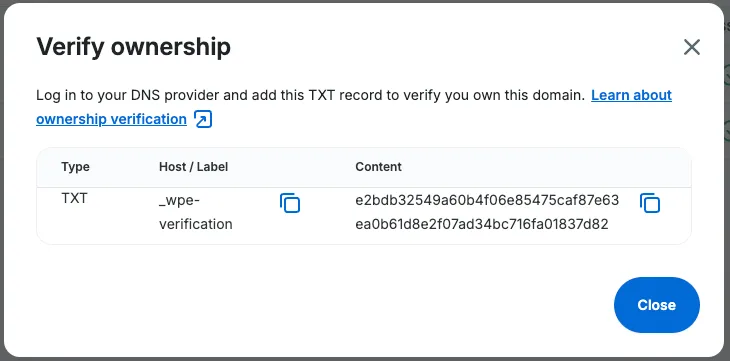 Screenshot of TXT record details